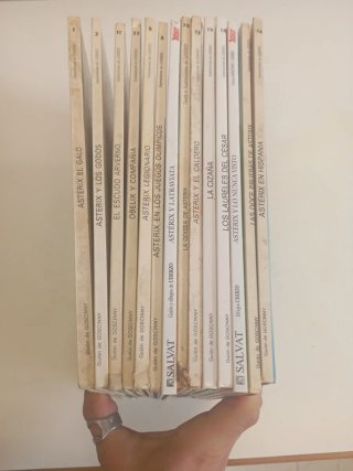 14 comics de Astérix el Galo