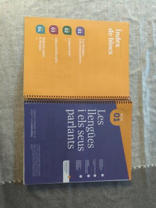 Llengua Catalana i Literatura 1