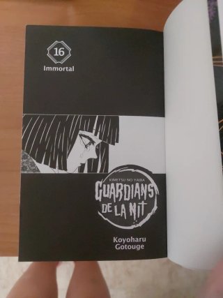 GUARDIANS DE LA NIT 16