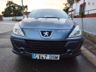 Peugeot 307 2005