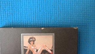 Manga Ghost In the Shell 1 y 2