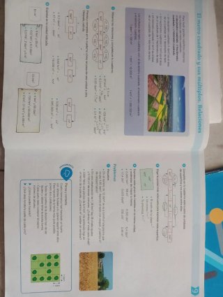 Matemáticas, 5° Primaria Saber Hacer Contigo