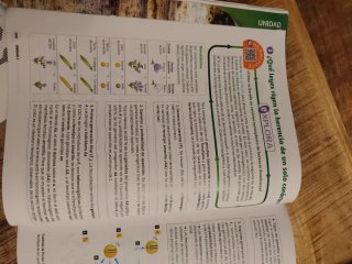 Biología y Geología, 4 ESO, Proyecto 5 etapas