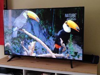 Xiaomi Smart TV P1 55 pulgadas 4K - Hogar