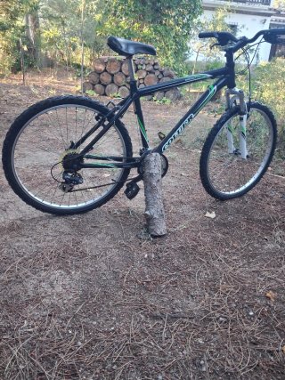 Bicicleta Coluer Sound 260 talla XL