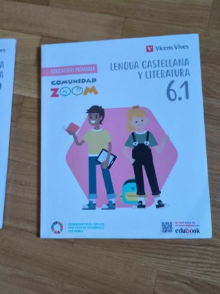 Lengua Castellana y Literatura 6, Educación Pri...
