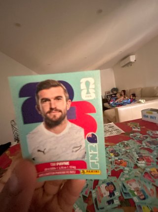 Carta Tim Payne FIFA Panini