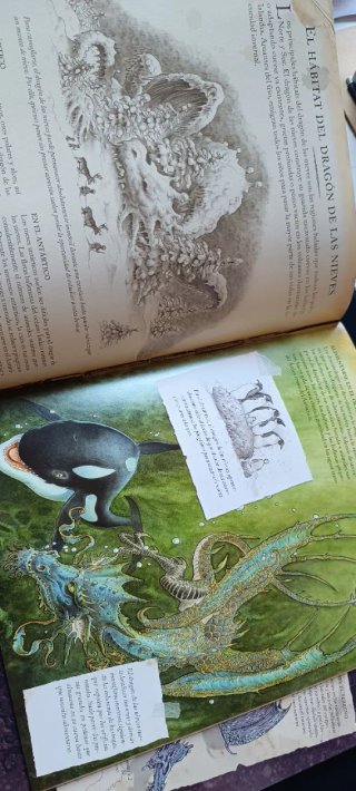 El dragón de las nieves. Una expedición polar