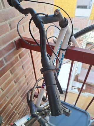 Bicicleta de montaña