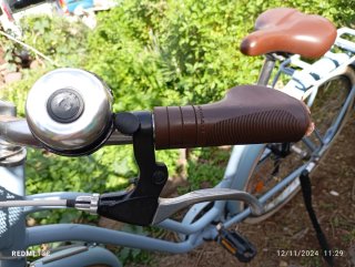 Bicicleta Paseo Mujer Clásica
