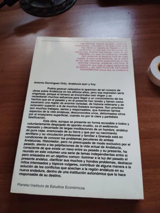 Andalucía ayer y hoy - Antonio Domínguez Ortiz