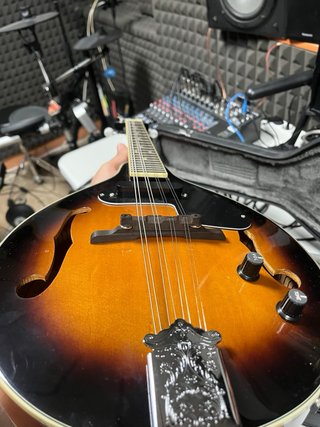 Mandolina Eléctrica Fender con Estuche