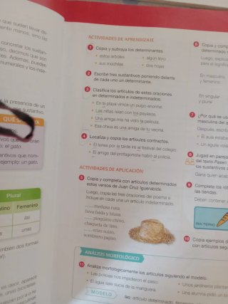 LIBROS LENGUA CASTELLANA 5° PRIMARIA. SANTILLANA