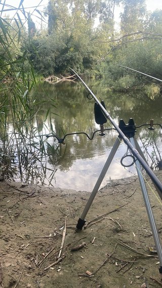 Caña de Carpfishing