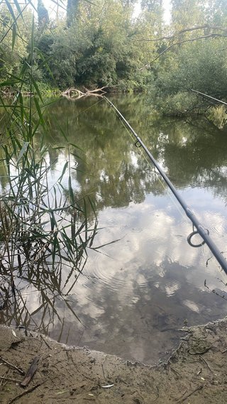 Caña de Carpfishing
