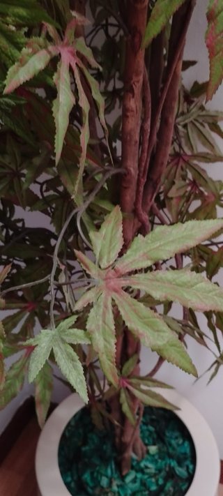 Lote Recibidor Madera + Planta Artificial