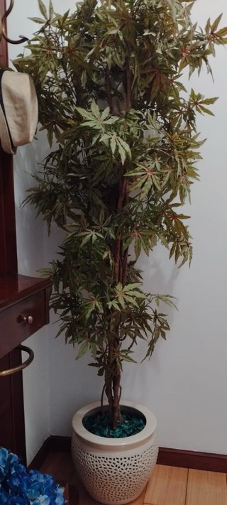 Lote Recibidor Madera + Planta Artificial