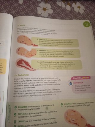 Ciencias de la Naturaleza, 6 Primaria, Proyecto...