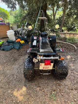 Yamaha YFS 200 Blaster ATV