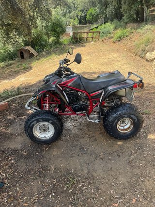 Yamaha YFS 200 Blaster ATV