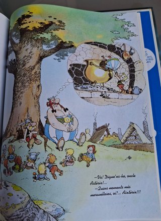 2 LLIBRES D'OBÈLIX EN CATALÀ