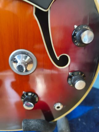 Guitarra Eléctrica Welson DS3