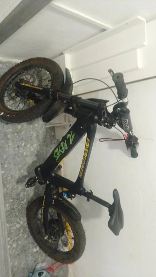 Bicicleta Eléctrica TC Reyes Evo Racing