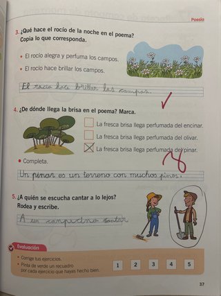 Comprensión lectora, 1o Primaria Fichas de trabajo