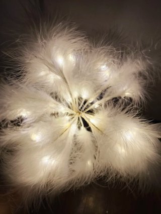 Lampada Piume bianco con Luci LED
