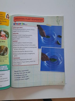 Cambridge Natural Science Level 3 Pupil's Book ...