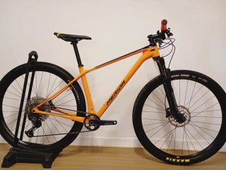 29"Mountain bike full carbon