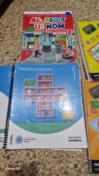 MATEMATIQUES 2 PRIMARIA CONSTRUINT MONS
