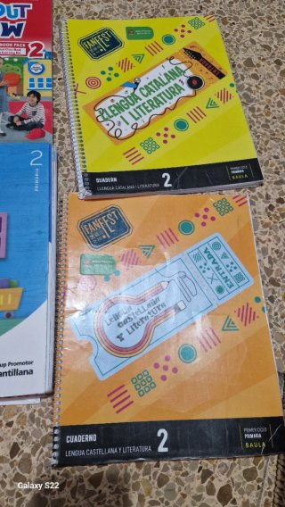 MATEMATIQUES 2 PRIMARIA CONSTRUINT MONS