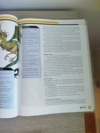 Llengua catalana, 3 ESO