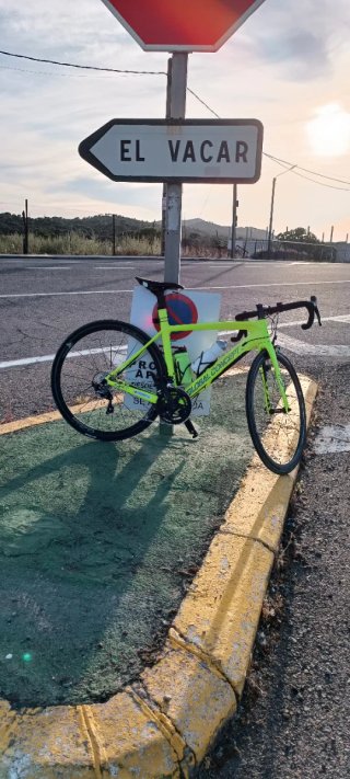 Bicicleta carbono carretera