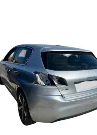 Porton tras 1610669880 peugeot 308 1.6 thp 134233