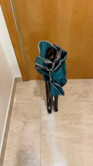 Silla de campo plegable Floyak