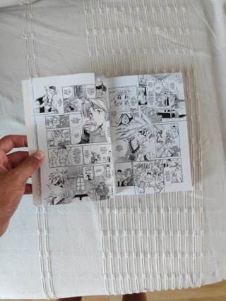 Apasionante comic de las aventuras de Zelda