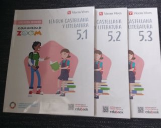 Lote de libros de texto 5° Primaria.