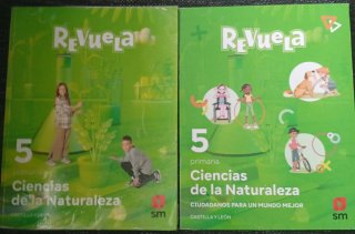 Lote de libros de texto 5° Primaria.