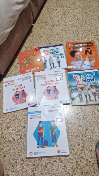 MATEMATIQUES 6 (COMUNITAT ZOOM)