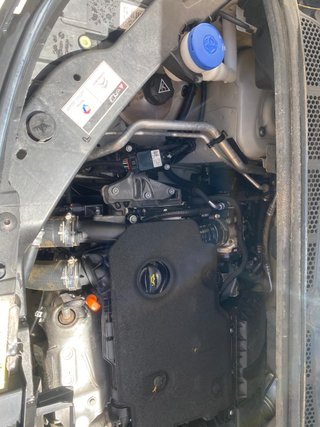 Citroen Berlingo Talla M BlueHDi 100 SS L