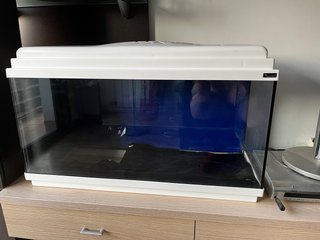 Acuario de cristal y  bordes plástico aqualantis