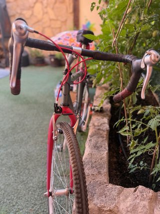 Bicicleta Orbea Gravel Talla S-M