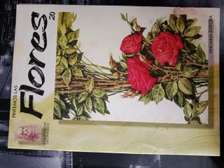 Lote 3 libros dibujo Colección Leonardo