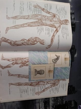 Lote 3 libros dibujo Colección Leonardo