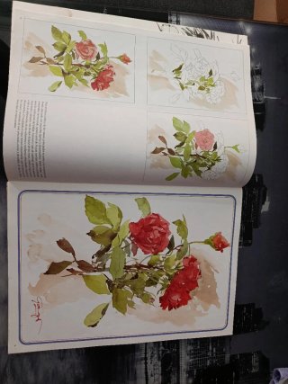 Lote 3 libros dibujo Colección Leonardo