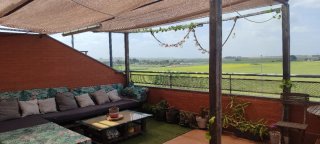 Conjunto terraza chill out