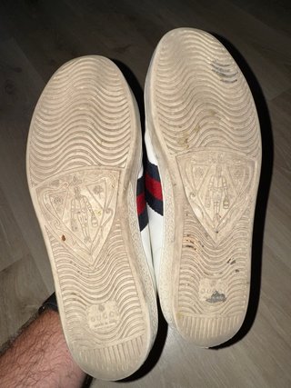 Zapatillas Gucci Edición Limitada