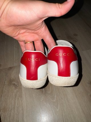 Zapatillas Gucci Edición Limitada